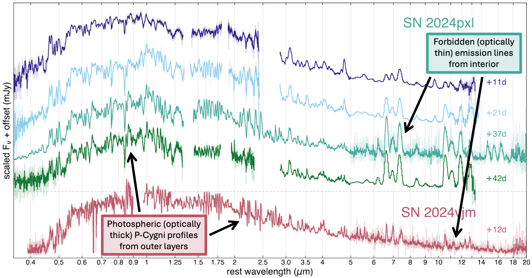 SN Ia explosion mechanisms diagram